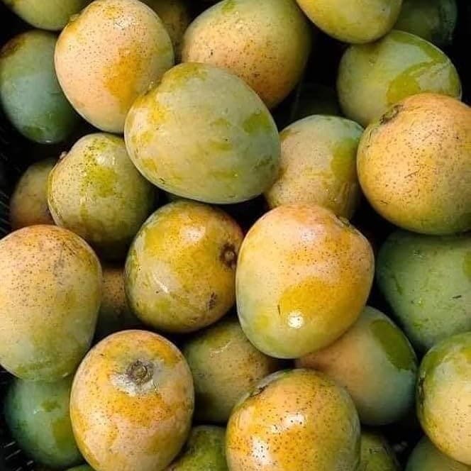 হিমসাগর আম